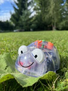 Blue-Bot põrandarobot